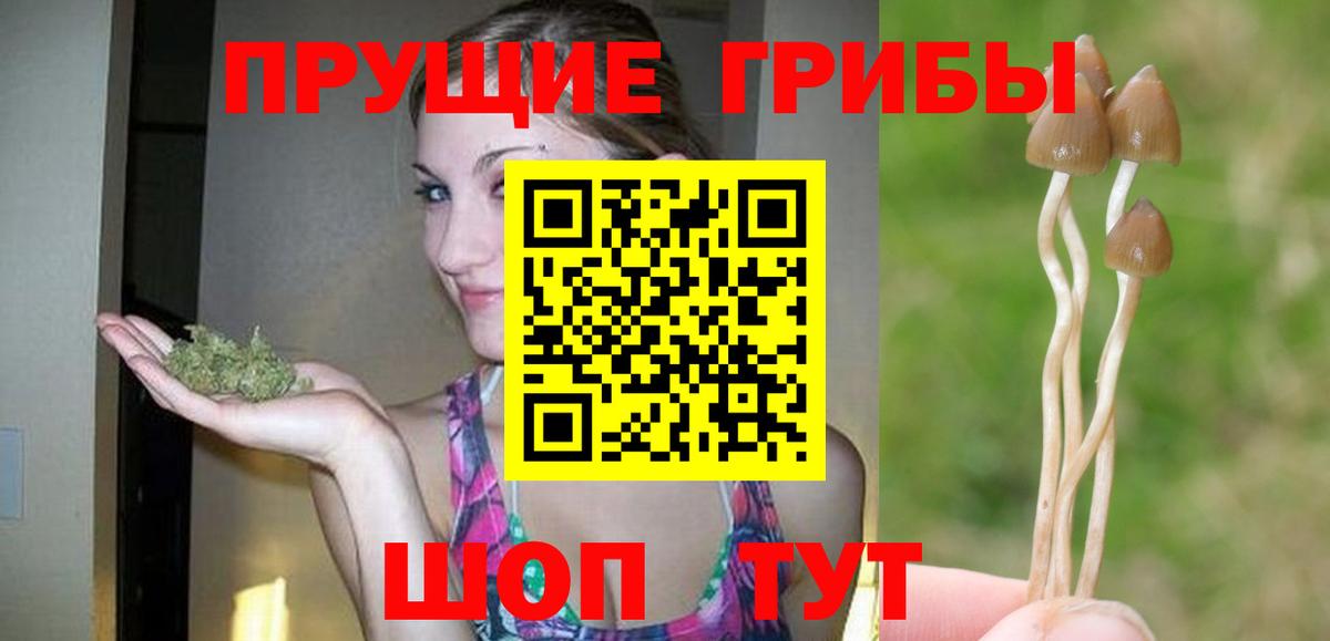 Псилоцибиновые грибы Magic Shrooms  Вход с VPN  Серов  Псилоцибиновые грибы мицелий 